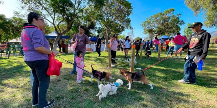 cómo se inicia un parque comunitario para perros