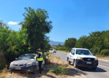 Papudo intensifica fiscalización de vehículos abandonados con multas y retiros de la vía pública